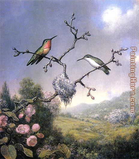 Hummingbirds and Apple Blossoms painting - Martin Johnson Heade Hummingbirds and Apple Blossoms art painting